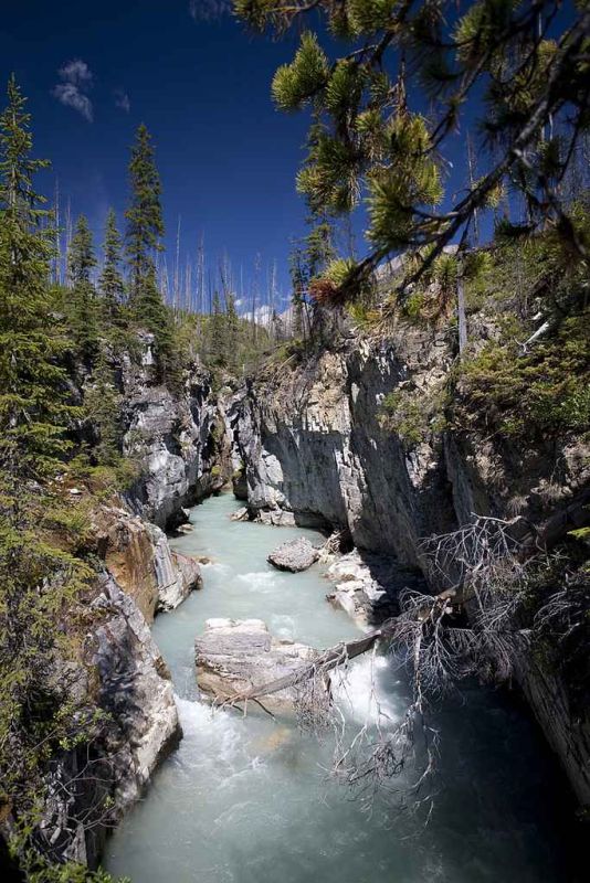 marble canyon bc.jpg